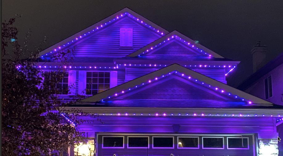 Beautiful home with permanent LED lighting